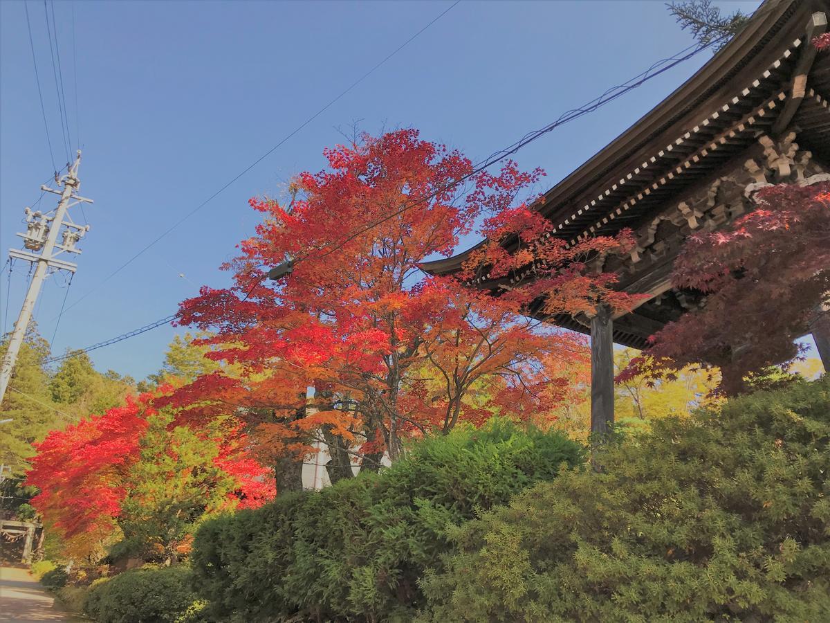 Guesthouse Daruma Takayama  Eksteriør billede